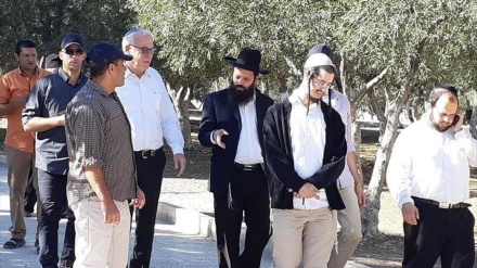 Ministro israelí y colonos irrumpen en la Mezquita Al-Aqsa