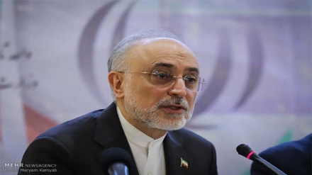 Salehi: Ushirikiano wa Iran na Ulaya unaendelea katika miradi ya nyuklia