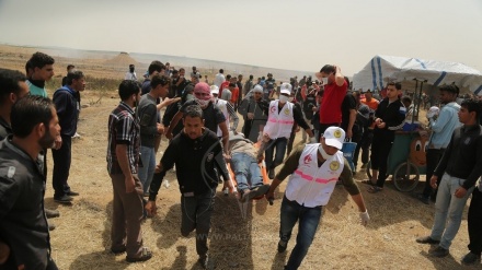 パレスチナ・ガザで、イスラエル軍の攻撃によりパレスチナ人1人が殉教、37人が負傷
