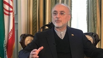イラン原子力庁長官、「核活動を核合意以前の状況に戻す用意がある」