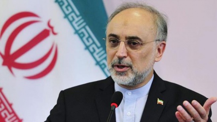 صالحی: ایران به فعالیت های هسته ای خود با قدرت ادامه می دهد 
