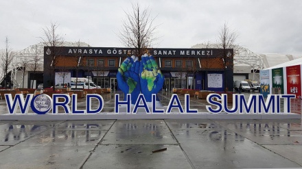 İstanbul'da Dünya Helal Zirvesi 