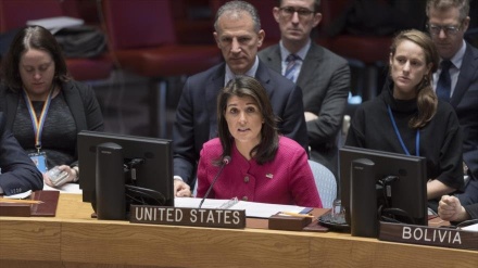 ‘Nikki Haley es adicta a iranofobia para tapar crímenes de Israel’