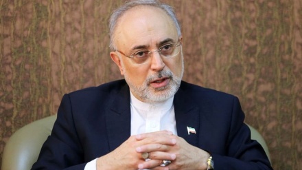 イラン原子力庁長官が、２０％でのウラン濃縮を西側に示唆