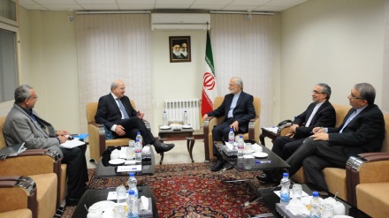 哈拉奇：犹太复国主义政权是伊斯兰世界出现分歧的罪魁祸首