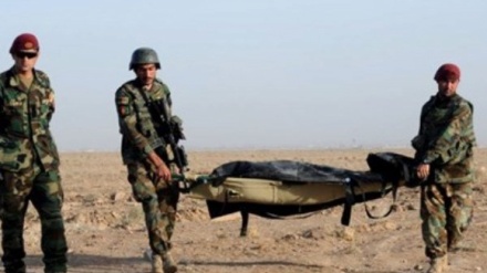 40名阿富汗警察在该国西部地区被打死