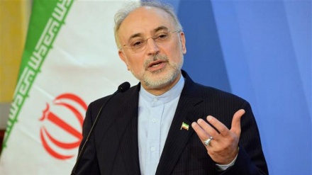Salehi: Kerja sama Nuklir Iran dan Eropa Berjalan Baik