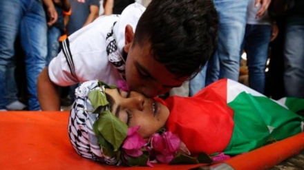 ２０１８年にイスラエル軍の銃撃でパレスチナ人の子ども５４人が殉教