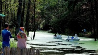 イラン北部ギーラーン州サラーヴァーン　樹林と湖の幻想的な風景