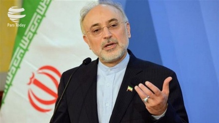 Salehi:gadaganlyklara garamazdan Eýranyň gazananlary dünýäni aňk edendir