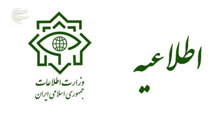 وزارت اطلاعات ایران خبر داد: متلاشی شدن شبکه اخلالگر محصولات پتروشیمی 