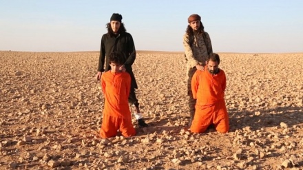Grupi terrorist ISIS ka ekzekutuar me vrasja 5490 persona në Siri