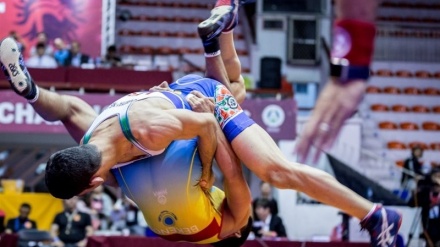 伊朗摔跤队在保加利亚锦标赛中获得 7 枚奖牌