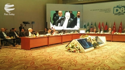 Zarifiň D8 toparyna bildiren islegi