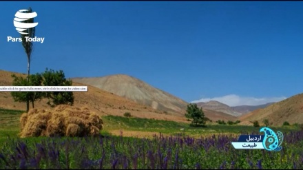 Timelapse Keindahan Alam di Ardabil (1)