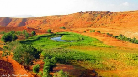 バダルルー芝原