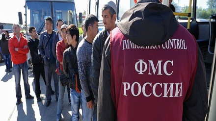 Краснодардан чиқариб юборилаётган ўзбекистонликлар сони ошмоқда  