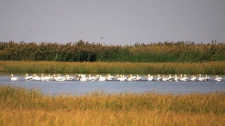 Turismo de Irán: Humedal Kani Barazan en ciudad Mahabad(Fotos)