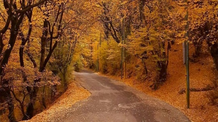 Musim Gugur di Republik Islam Iran (4)