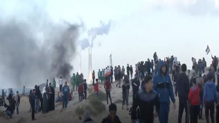 14 heridos en una nueva manifestación marítima en Gaza+Video