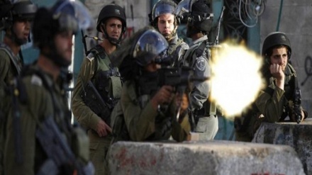 300 palestinezë të plagosur gjatë 24 orëve të kaluara në përleshje me ushtrinë izraelite