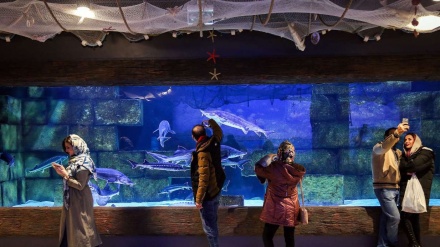 Fotos: Las impresionantes fotos del mayor acuario de Irán