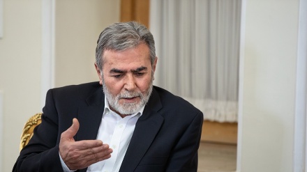 নির্বাচনের চেয়ে আমাদের কাছে গুরুত্বপূর্ণ হচ্ছে লড়াই: ফিলিস্তিনের ইসলামি জিহাদ