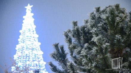 Тошкентда қор ёғди (фотогаллерея)