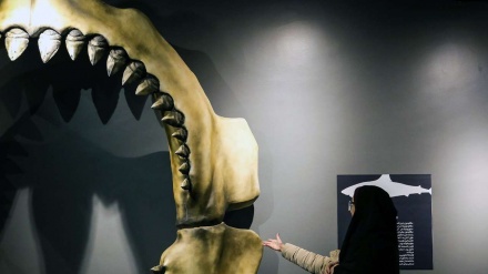 Kompleks Rekreasi Akuarium Iran di Anzali (2)