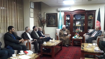 موافقت ایران با برگزاری دوره های آموزشی اساتید دانشگاههای کابل