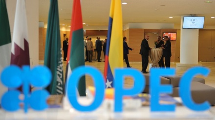 Rusia Dukung Keputusan OPEC Plus Turunkan Produksi Minyak