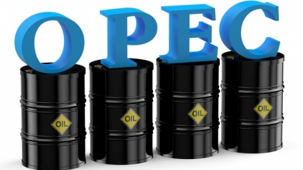 Ўзбекистон OPEC-да кузатувчи мақомини қўлга киритди