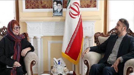 Գործնական քայլերի ուղղությամբ Եվրոպայի դանդաղկոտությունն ընդունելի չէ. Ամիր Աբդոլլահյան 