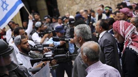 Colonos israelíes confiscan tierras palestinas en Cisjordania