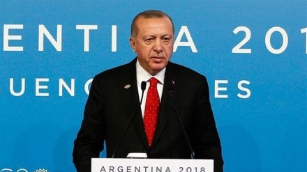 Erdogan enfatiza en cooperación con Irán y Rusia para asegurar región