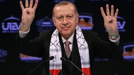 埃尔多安：古都斯是穆斯林的红线