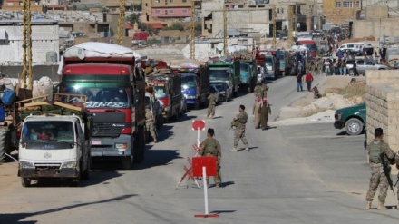 Artists' view on migration (4)