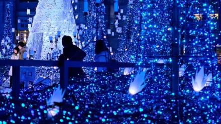 Токиода Рождество байрами (фотожамланма)