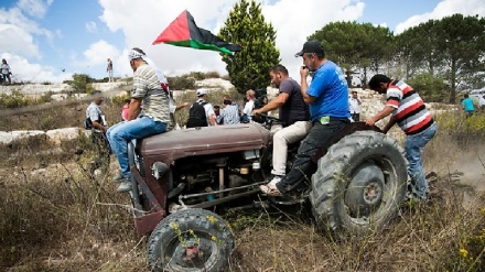 מנגנון הביטחון ברמאללה: סיכלנו מכירת 3,000 דונמים ליהודים