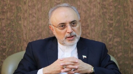 Salehi avvisa l'Occidente: pronti a riprendere arricchimento al 20% 