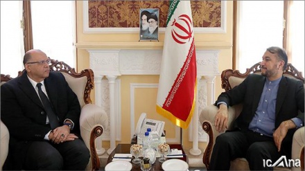 Mısırlı yetkili Emir Abdullahian ile görüştü