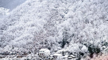 中国での寒波と大雪の様子（動画）