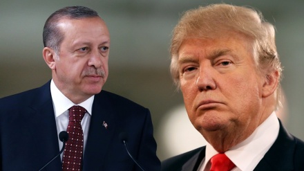 Erdoğan ile Trump görüştü