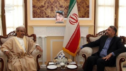 رایزنی امیر عبداللهیان با سفیر عمان در تهران 