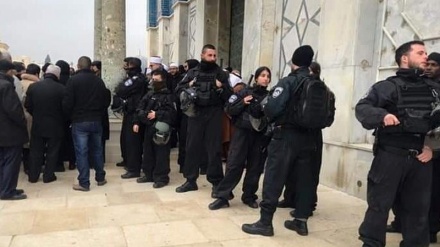 Pasukan Penjajah Tangkap Pemuda Palestina