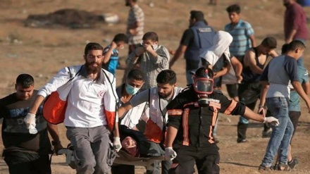 パレスチナ･ガザ地区で、イスラエル軍の銃撃により１人殉教、４３人負傷