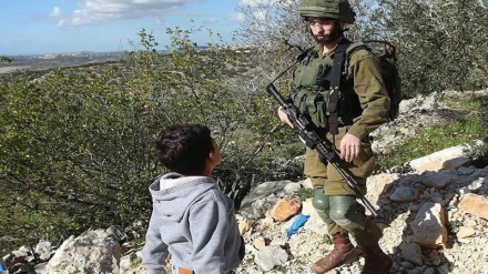 Pasukan Zionis Tangkap Bocah Palestina