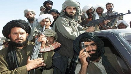 سخنگوی طالبان: افغانستان را اشغال شده می دانیم و برای اخراج اشغالگران تلاش می کنیم