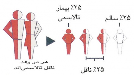  ضربان / بیماری خونی تالاسمی -1 