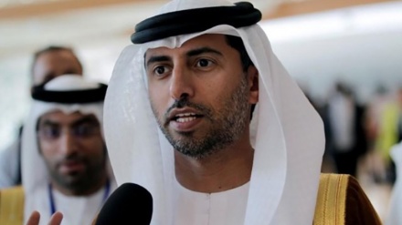 UAEエネルギー相が、２０１９年の石油市場を楽観視